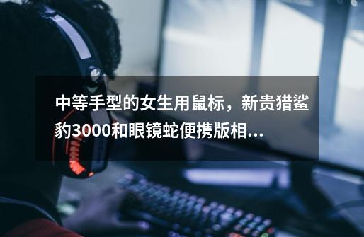 中等手型的女生用鼠标，新贵猎鲨豹3000和眼镜蛇便携版相比哪个好-第1张-游戏信息-龙启网
