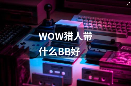 WOW猎人带什么BB好-第1张-游戏信息-龙启网