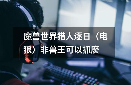 魔兽世界猎人逐日（电狼）非兽王可以抓麽-第1张-游戏信息-龙启网