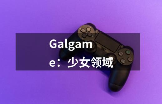 Galgame:少女领域-第1张-游戏信息-龙启网