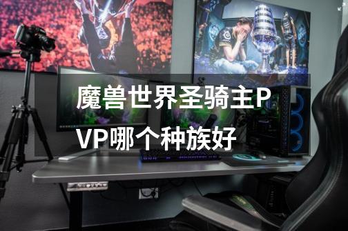 魔兽世界圣骑主PVP哪个种族好-第1张-游戏信息-龙启网