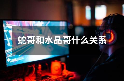 蛇哥和水晶哥什么关系-第1张-游戏信息-龙启网