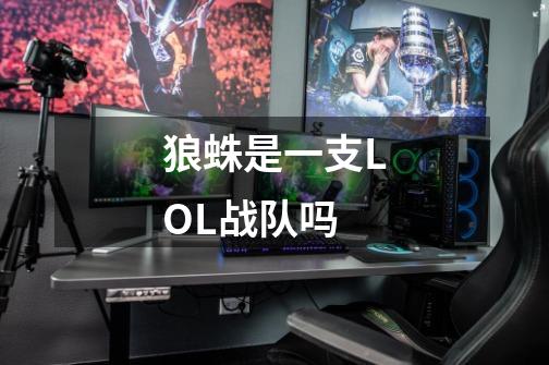 狼蛛是一支LOL战队吗-第1张-游戏信息-龙启网