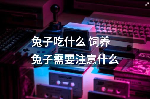 兔子吃什么 饲养兔子需要注意什么-第1张-游戏信息-龙启网