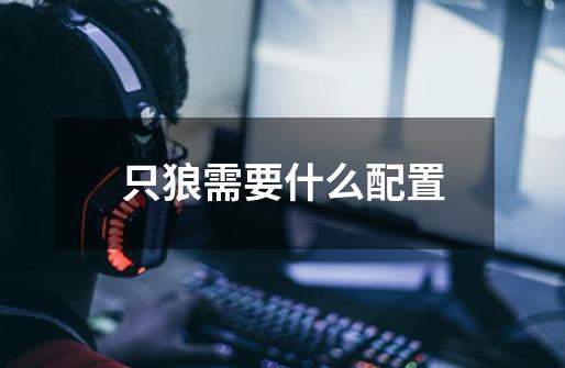 只狼需要什么配置-第1张-游戏信息-龙启网