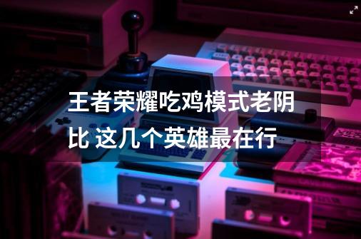 王者荣耀吃鸡模式老阴比 这几个英雄最在行-第1张-游戏信息-龙启网