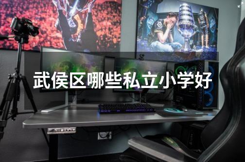 武侯区哪些私立小学好-第1张-游戏信息-龙启网