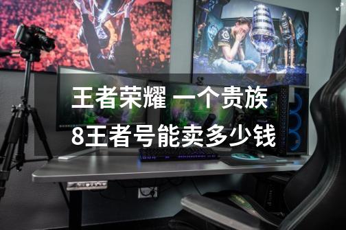 王者荣耀 一个贵族8王者号能卖多少钱-第1张-游戏信息-龙启网