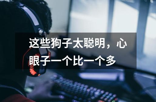 这些狗子太聪明,心眼子一个比一个多-第1张-游戏信息-龙启网
