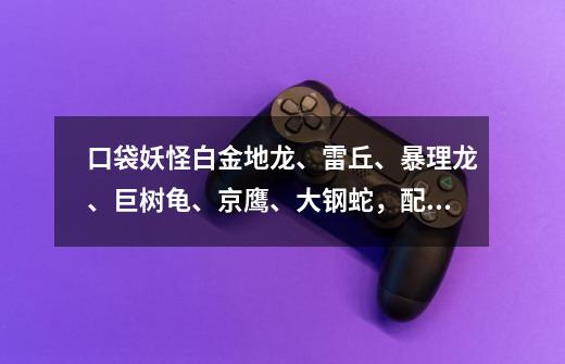 口袋妖怪白金地龙、雷丘、暴理龙、巨树龟、京鹰、大钢蛇,配招-第1张-游戏信息-龙启网