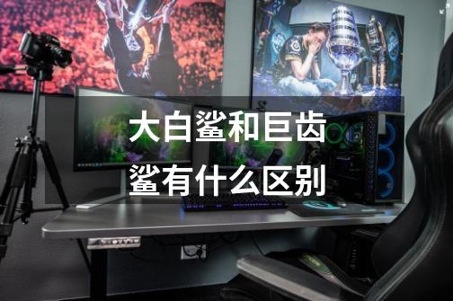 大白鲨和巨齿鲨有什么区别-第1张-游戏信息-龙启网