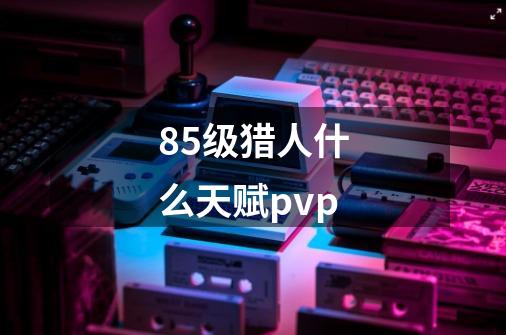 85级猎人什么天赋pvp-第1张-游戏信息-龙启网