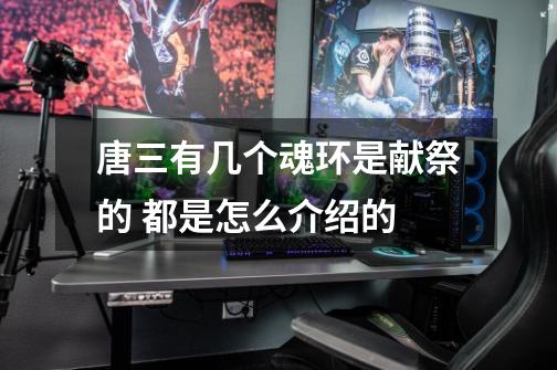 唐三有几个魂环是献祭的 都是怎么介绍的-第1张-游戏信息-龙启网