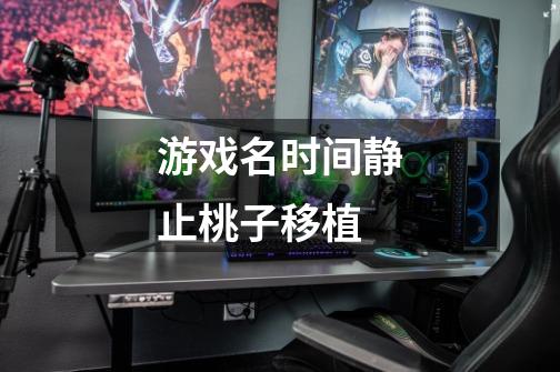 游戏名时间静止桃子移植-第1张-游戏信息-龙启网