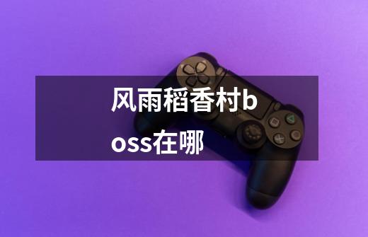 风雨稻香村boss在哪-第1张-游戏信息-龙启网