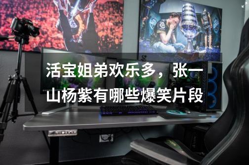 活宝姐弟欢乐多,张一山杨紫有哪些爆笑片段-第1张-游戏信息-龙启网