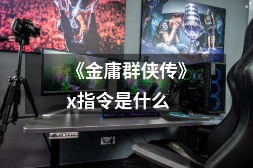《金庸群侠传》x指令是什么-第1张-游戏信息-龙启网