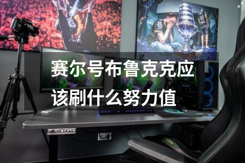 赛尔号布鲁克克应该刷什么努力值-第1张-游戏信息-龙启网