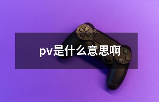 pv是什么意思啊-第1张-游戏信息-龙启网