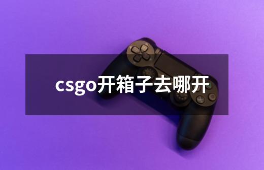 csgo开箱子去哪开-第1张-游戏信息-龙启网