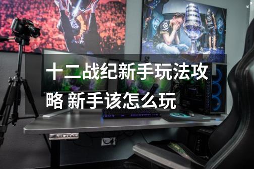 十二战纪新手玩法攻略 新手该怎么玩-第1张-游戏信息-龙启网