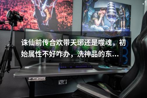 诛仙前传合欢带天琊还是噬魂，初始属性不好咋办，洗神品的东西叫啥，反正吧全流程说下-第1张-游戏信息-龙启网