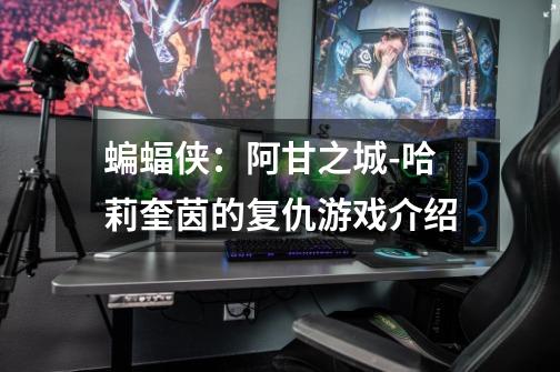 蝙蝠侠:阿甘之城-哈莉奎茵的复仇游戏介绍-第1张-游戏信息-龙启网