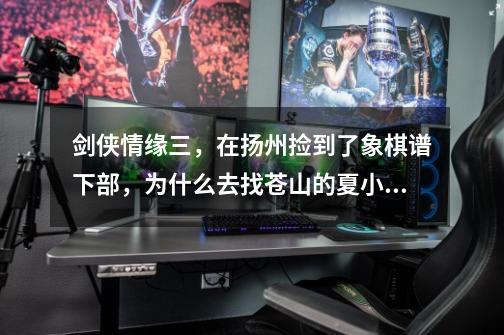 剑侠情缘三,在扬州捡到了象棋谱下部,为什么去找苍山的夏小齐对话却没有交任务的选项-第1张-游戏信息-龙启网
