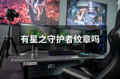 有星之守护者纹章吗-第1张-游戏信息-龙启网
