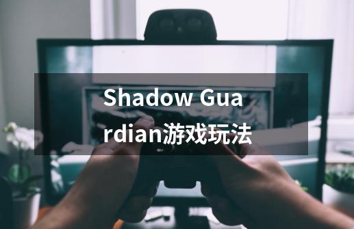 Shadow Guardian游戏玩法-第1张-游戏信息-龙启网