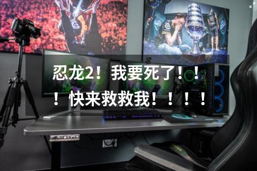 忍龙2！我要死了！！！快来救救我！！！！-第1张-游戏信息-龙启网