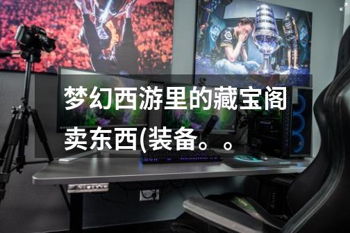 梦幻西游里的藏宝阁卖东西(装备。。-第1张-游戏信息-龙启网
