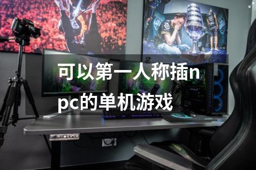 可以第一人称插npc的单机游戏-第1张-游戏信息-龙启网
