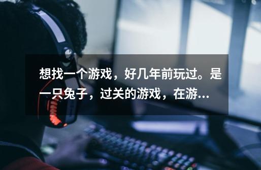 想找一个游戏,好几年前玩过。是一只兔子,过关的游戏,在游戏里收集胡萝卜。-第1张-游戏信息-龙启网