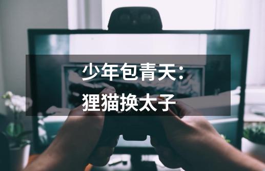 少年包青天:狸猫换太子-第1张-游戏信息-龙启网