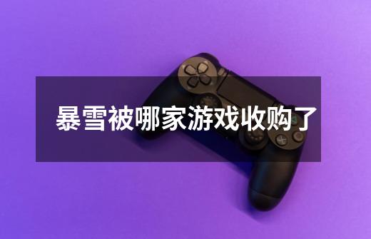 暴雪被哪家游戏收购了-第1张-游戏信息-龙启网