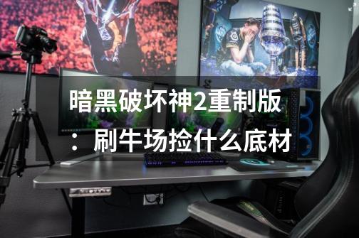 暗黑破坏神2重制版:刷牛场捡什么底材-第1张-游戏信息-龙启网
