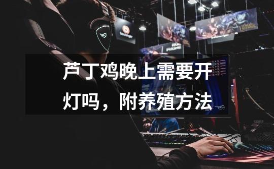 芦丁鸡晚上需要开灯吗,附养殖方法-第1张-游戏信息-龙启网
