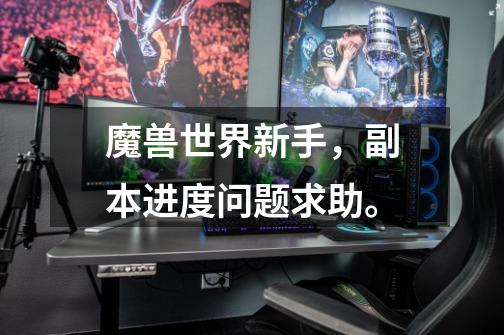 魔兽世界新手，副本进度问题求助。-第1张-游戏信息-龙启网