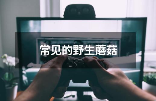 常见的野生蘑菇-第1张-游戏信息-龙启网