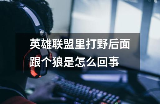 英雄联盟里打野后面跟个狼是怎么回事-第1张-游戏信息-龙启网