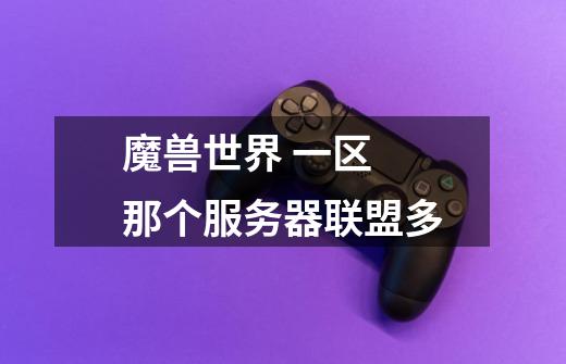魔兽世界 一区 那个服务器联盟多-第1张-游戏信息-龙启网