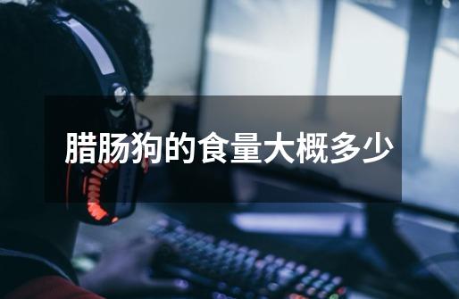 腊肠狗的食量大概多少-第1张-游戏信息-龙启网