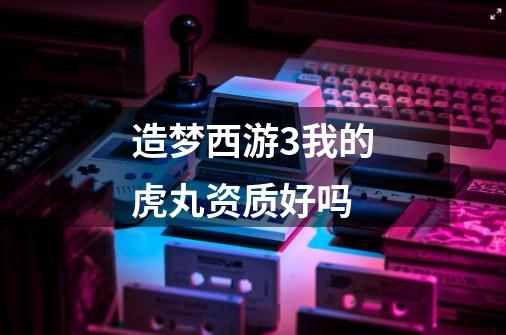 造梦西游3我的虎丸资质好吗-第1张-游戏信息-龙启网