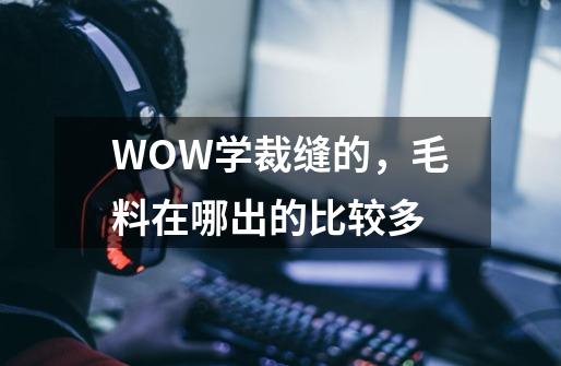 WOW学裁缝的，毛料在哪出的比较多-第1张-游戏信息-龙启网