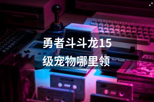 勇者斗斗龙15级宠物哪里领-第1张-游戏信息-龙启网