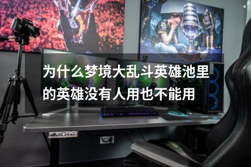 为什么梦境大乱斗英雄池里的英雄没有人用也不能用-第1张-游戏信息-龙启网