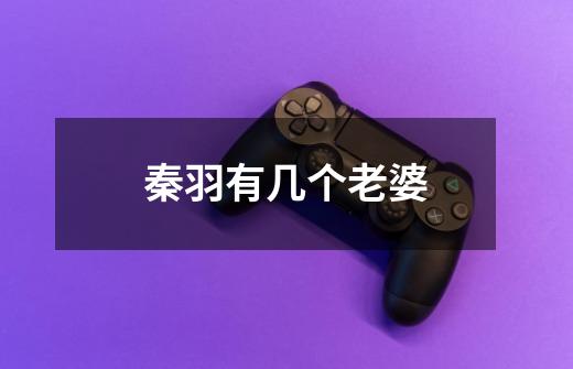 秦羽有几个老婆-第1张-游戏信息-龙启网