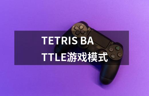 TETRIS BATTLE游戏模式-第1张-游戏信息-龙启网