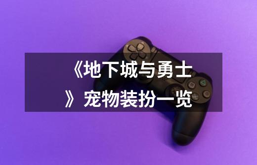 《地下城与勇士》宠物装扮一览-第1张-游戏信息-龙启网